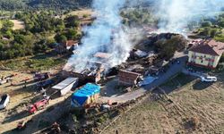 Kastamonu'da Yangın: 14 Büyükbaş Hayvan Telef Oldu