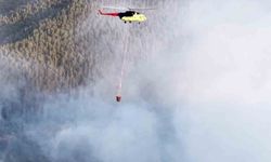 Kastamonu'daki orman yangını, ekiplerin müdahalesiyle söndürüldü