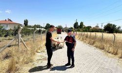 Kayıp Hayvanlar İçin Jandarma Seferber Oldu