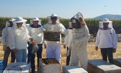 Kaymakam Özcan, Halitpaşa'da bal hasadına katıldı