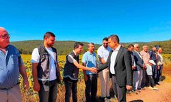 Kaymakam Titiz, hasat coşkusunu paylaştı
