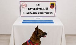 Kayseri'de Jandarma Uyuşturucu Operasyonu: 1 Şahıs Gözaltında