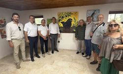 Kaz Dağları'nda Kuşların Hayatı: Fısıltılar ve Düşler