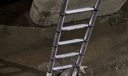 Kedi merdiveni görünce kurtulmayı başardı