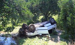 Kediye çarpmamak için direksiyonu kıran sürücü bahçeye uçtu