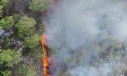 Kemer'de Orman Yangını Alarm Verdi