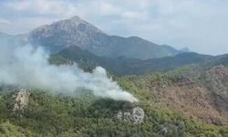 Kemer'de Orman Yangını Çıktı