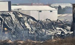 Kocaeli'de Kimya Fabrikasında Çıkan Yangın: 2 Yaralı, 2 At Telef Oldu