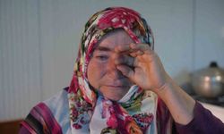 Konteynere mahkum kalan aile, yangın sonrası ev yapımı için dolandırıldıklarını iddia ediyor