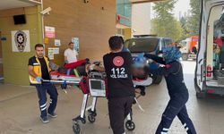 Kontrolden Çıkan Kamyonet Park Halindeki Kamyona Çarptı