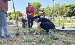 Konut dokunulmazlığı ihlali sonrası adliye bahçesine fidan dikildi