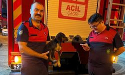 Köpek depodan itfaiye tarafından kurtarıldı