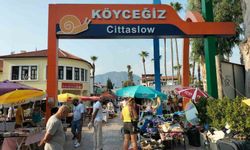 Köyceğiz'deki ikinci el pazarı sıcak hava nedeniyle sessiz kaldı