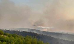 Kula'daki orman yangınına müdahale devam ediyor