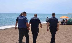 Kumköy Sahili'nde Caretta Carettalar İçin Denetimler Sıklaştırıldı