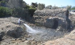Kuşadası'nda Tarihi Roma Hamamı'nda Temizlik Faaliyeti Başlatıldı