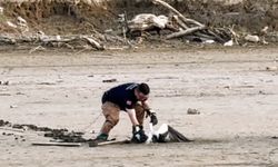 Leylek, balçıkta mahsur kaldı; itfaiye devreye girdi