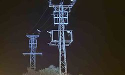 Leyleklerin dönüşü bazı bölgelerde elektrik kesintisine yol açtı
