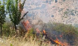 Malatya'da meyve bahçeleri ve üzüm bağları alev alev