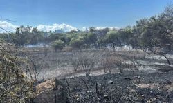 Manavgat Sorgun Mahallesi Boğaz Mendirek yolunda korkutan yangın