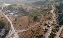 Manavgat'ta 75 Dönümlük Sokak Hayvanları Alanı Kuruluyor