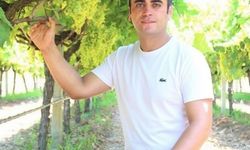 Manisa'dan Üzüm İçin Yeni Bir Model: Altın Proje