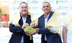 Manisa'nın Bağbozumu Şenlikleri 5-8 Eylül'de başlıyor