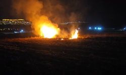 Mardin'de Otomobil Seyir Halindeyken Yandı