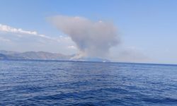 Marmaris'te orman yangını paniği