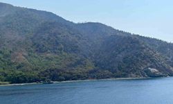 Marmaris'teki orman yangını söndürüldü