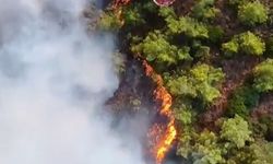 Marmaris'teki orman yangınına havadan müdahale yapılıyor