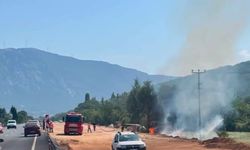 Menteşe'deki otluk alanda yangın kontrol altına alındı
