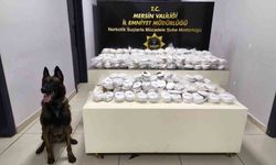 Mersin'de 14 milyon liralık uyuşturucu operasyonu