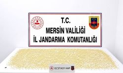 Mersin'de 3 bin 760 ecstasy hap ele geçirildi