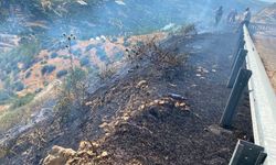 Mersin'de yangın felaketi: Ekipler hızlı müdahaleyle alevleri kontrol altına aldı