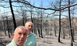 Mimarlar Odası Başkanı Şahin: 'İhmaller ormanlarımızı yok ediyor'