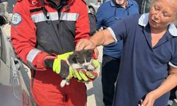 Motor Bölümüne Sıkışan Kedi Kurtarıldı