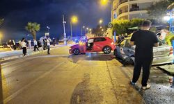 Mudanya'da direksiyon hakimiyetini kaybeden sürücü kaza yaptı