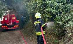 Muğla'da ot yangını paniği: 30 metrekare alan yandı
