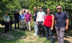 Muğla'da sürdürülebilir turunçgil mücadelesi