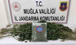 Muğla'da uyuşturucu operasyonu: 33 kişi tutuklandı