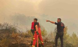 Muğla'daki yangınların büyük kısmı insan kaynaklı