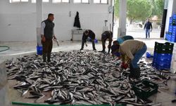Muğla'nın Temmuz ayı ihracatı 142 milyon doları aştı