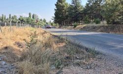 Muhtar, yol kenarındaki kurumuş otlar için yangın tehlikesine dikkat çekti
