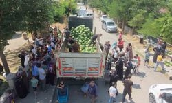 Muş'ta 8 Mahallede Ücretsiz Karpuz Dağıtımı Gerçekleşti