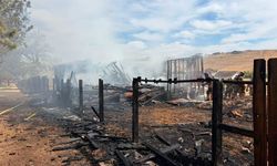 Nevada'daki orman yangınında 32 ev yok oldu