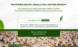 Niğde Valiliği'nden küçükbaş hayvancılık projesine başvuru duyurusu