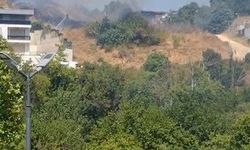 Nilüfer'deki Otluk Alanda Yangın, Hızlı Müdahale ile Kontrol Altına Alındı