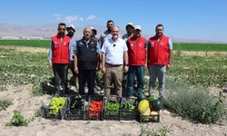 NÖHÜ Tarımsal Araştırma Merkezi'nde 51 bin fide hasat edildi