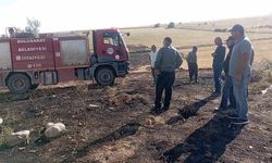 Ocaklık Kıvılcımları Yangına Sebep Oldu